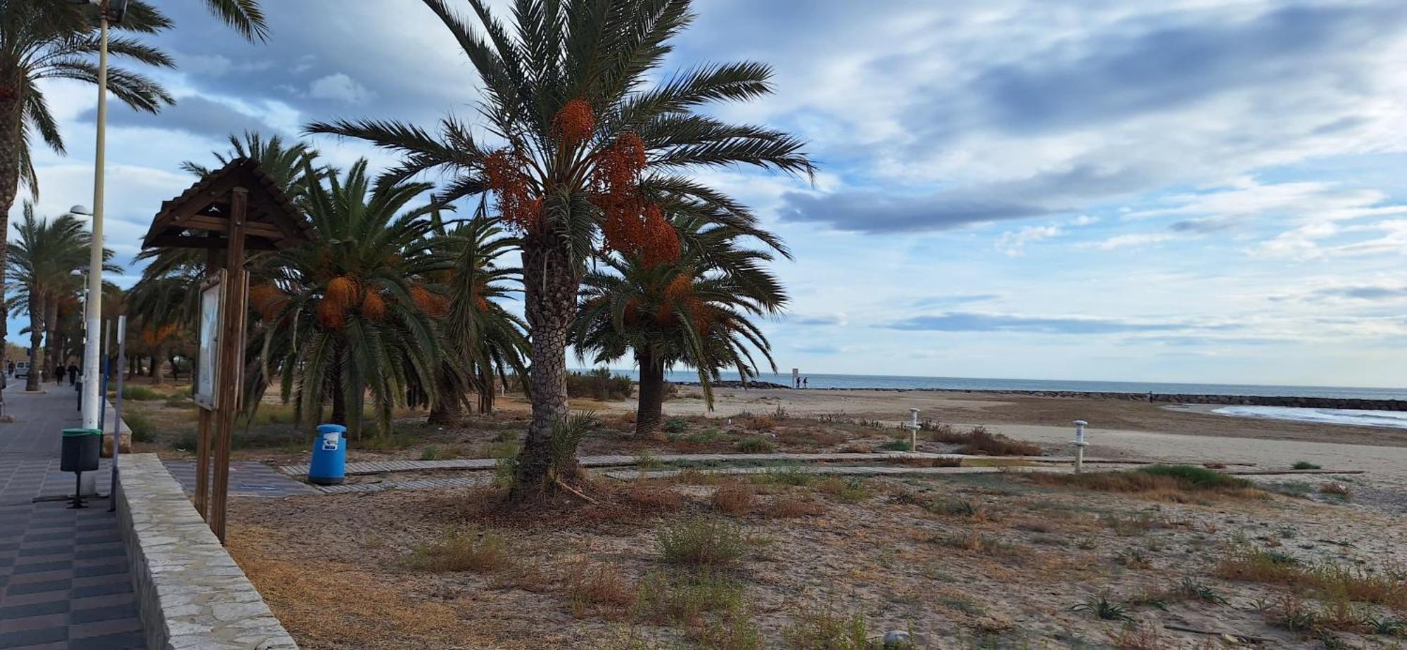 Apartamento Vacaciones En El Mar Sagunto Exterior foto